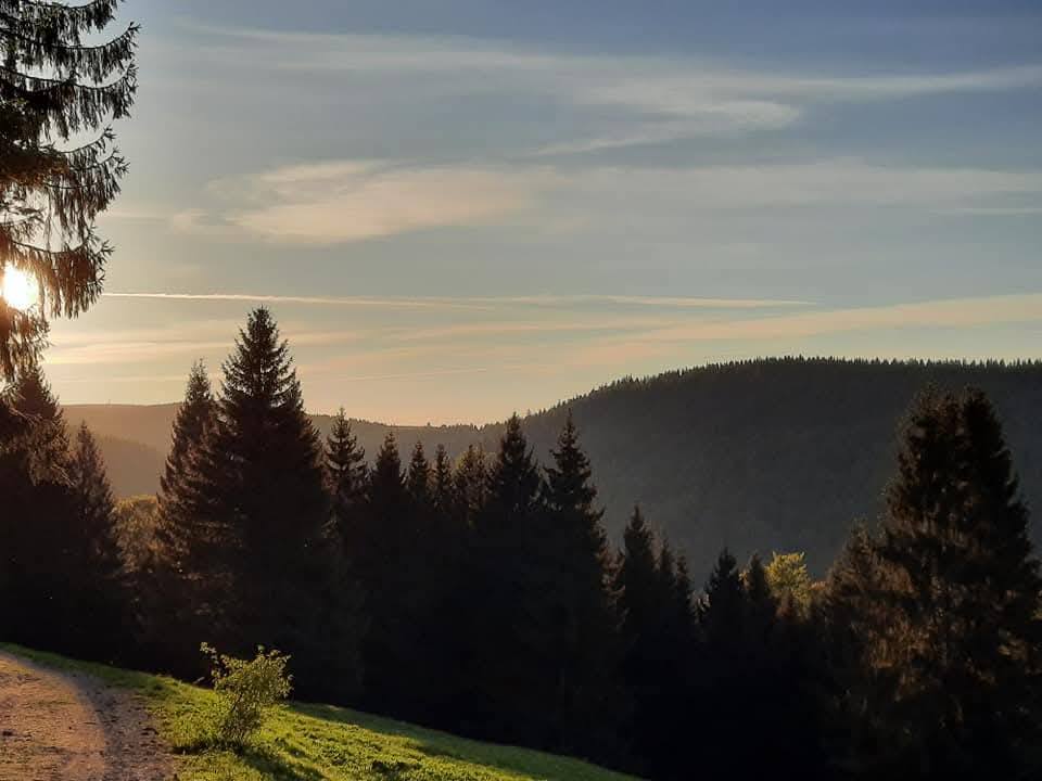 Natur Thüringer Wald